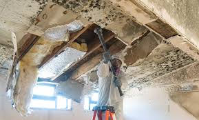 Best Post-Construction Mold Inspection  in Madera, CA